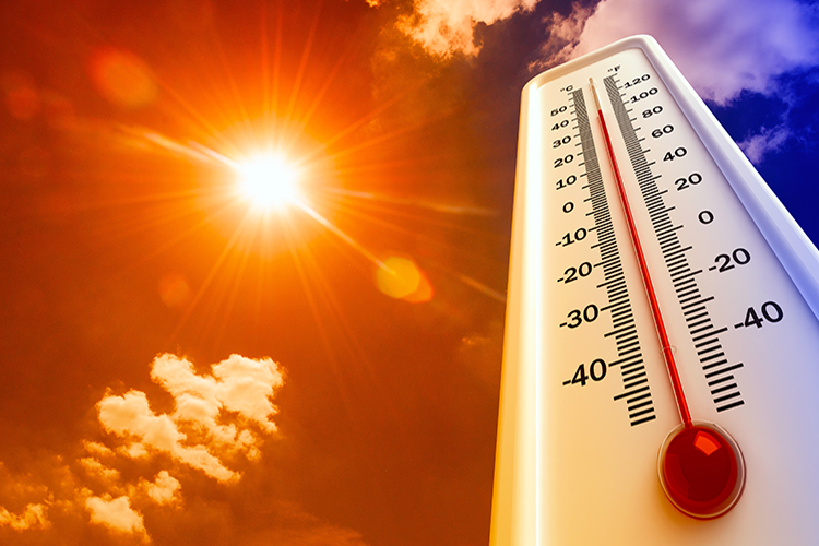 US Launches Guide to Protect Households from Extreme Heat